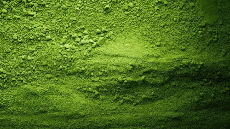 Uji ceremonial matcha powder